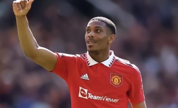 素的T恤 素的T恤